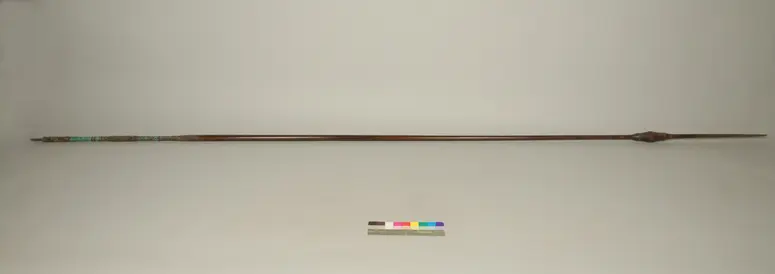 Rattle spear