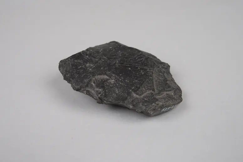 Scraper