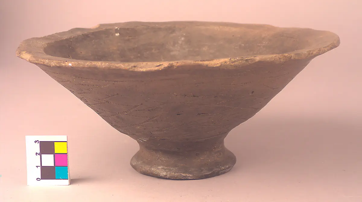 Pot Lid