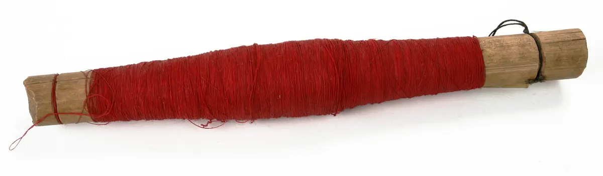 Coil