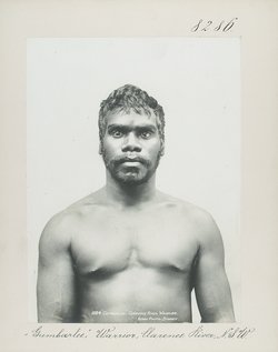 "Gumbarlee", Warrior, Clarence River, N.S.W.