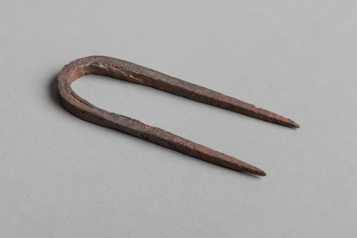 Nail