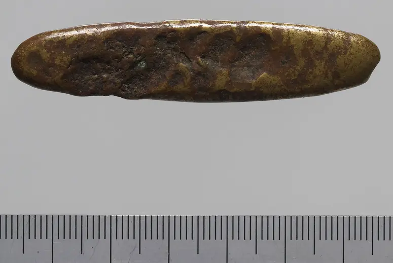 Bronzebarren