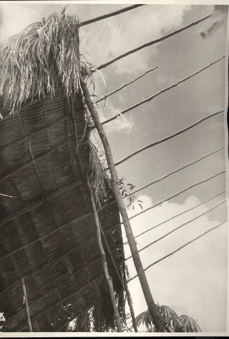 Windschirme der Pacaas Novos