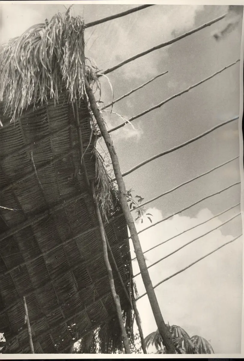 Windschirme der Pacaas Novos