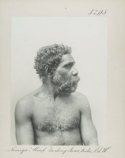 "Nerriga", Chief Darling River tribe, N.S.W.