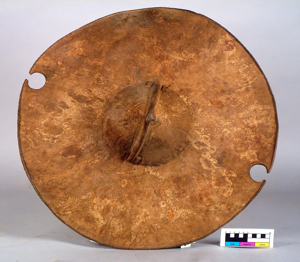 Shield