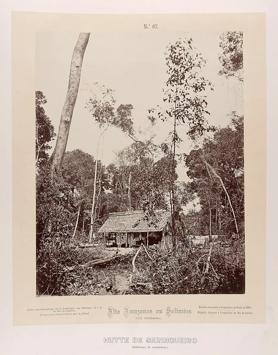 Hütte der Kautschuksammler