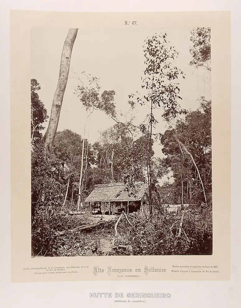 Hütte der Kautschuksammler