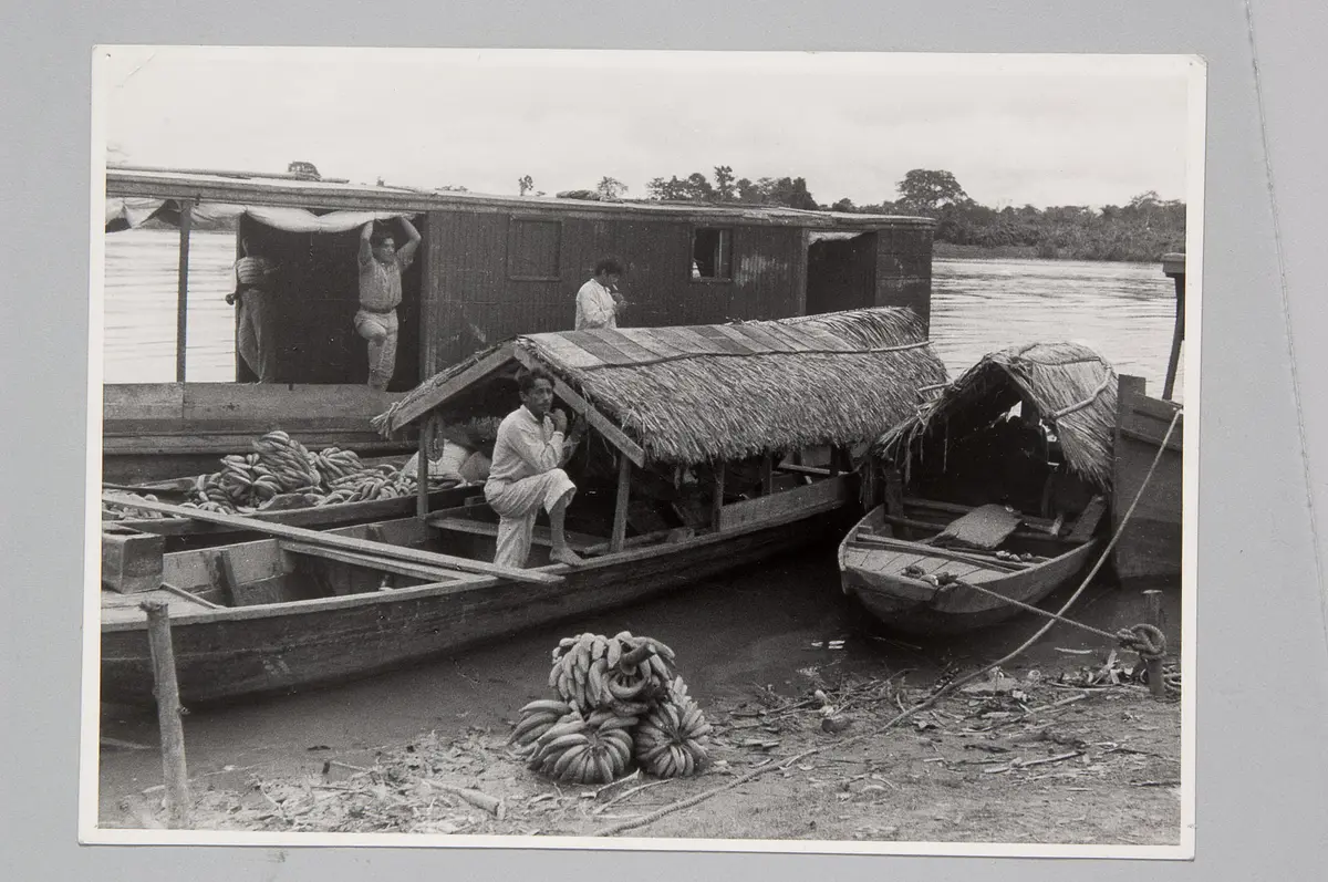 Flußboote, Bananen