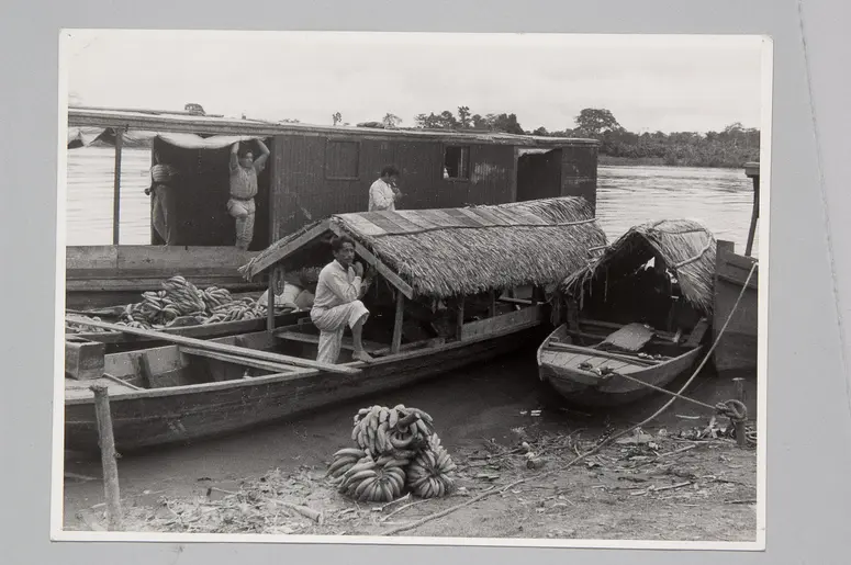 Flußboote, Bananen