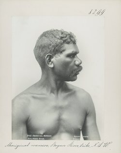 Aboriginal warrior, Bogan River tribe, N.S.W.