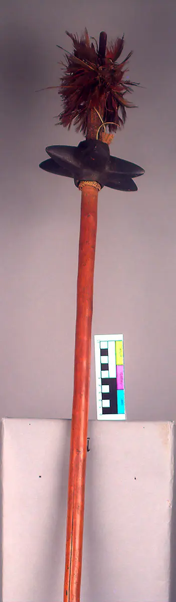 Morgensternkeule