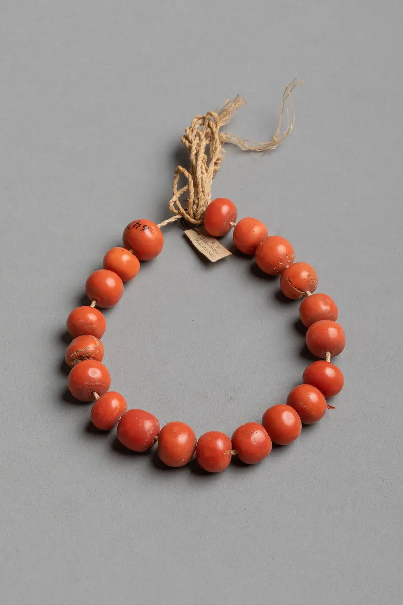 String with Coral Beads