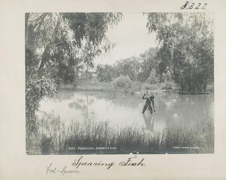 Spearing Fish