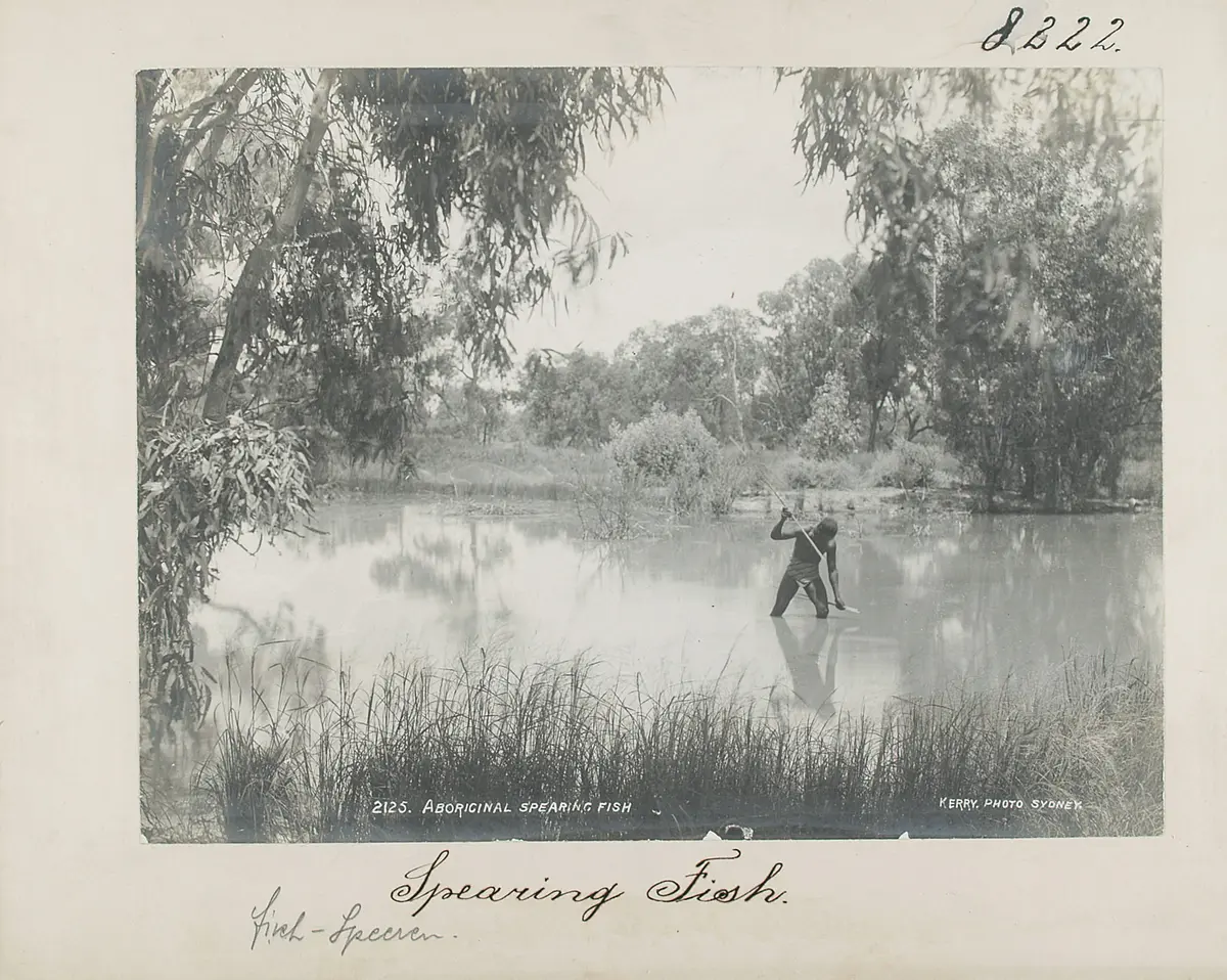 Spearing Fish