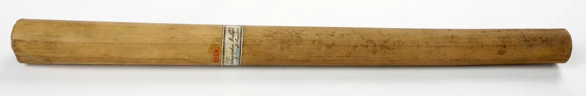 Bambusröhrchen