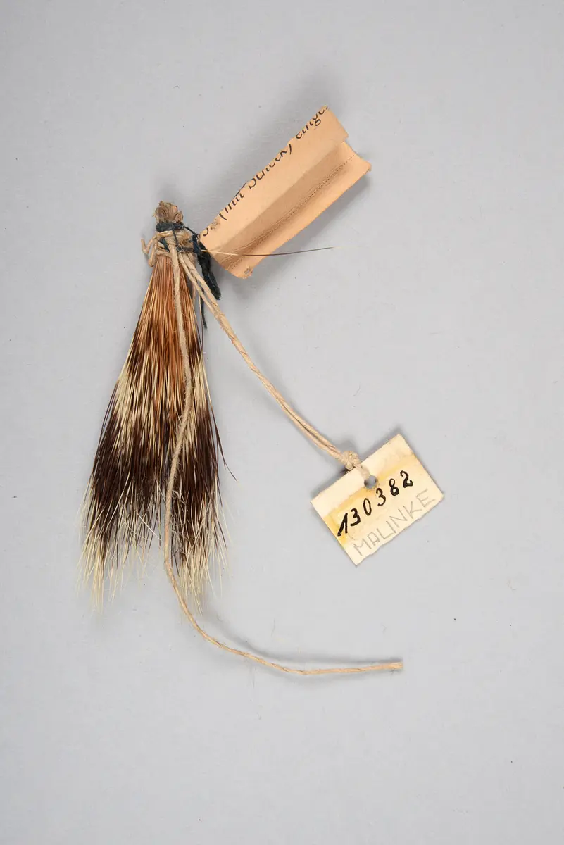 Tierhaar (Amulett für Frauen)