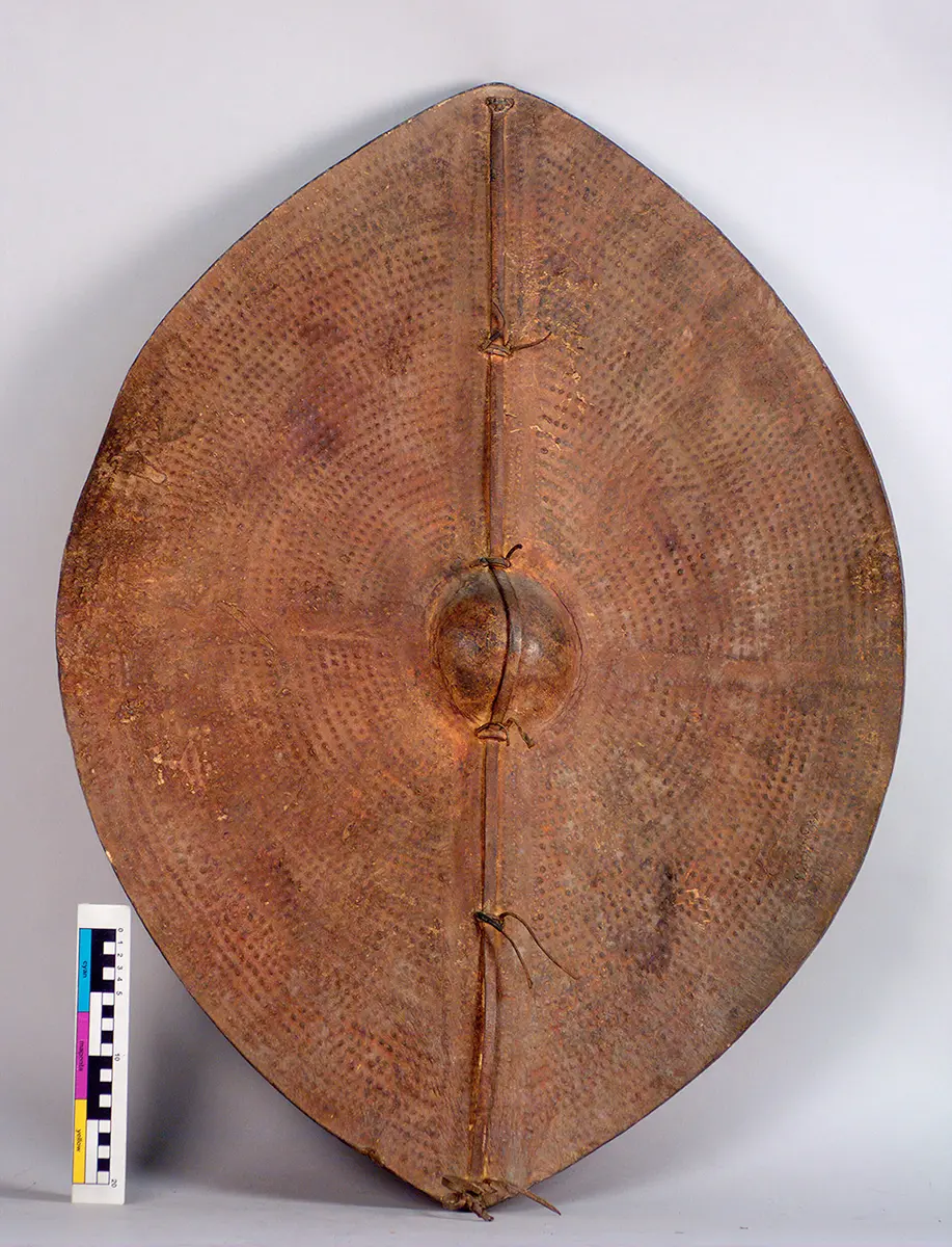 Shield