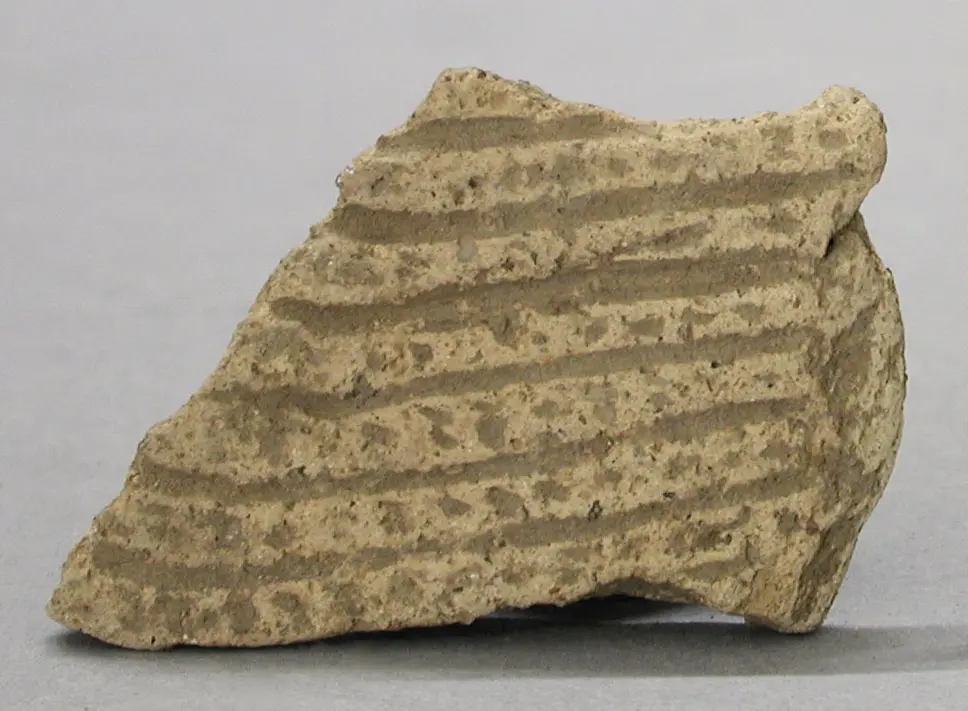 Pottery sherd