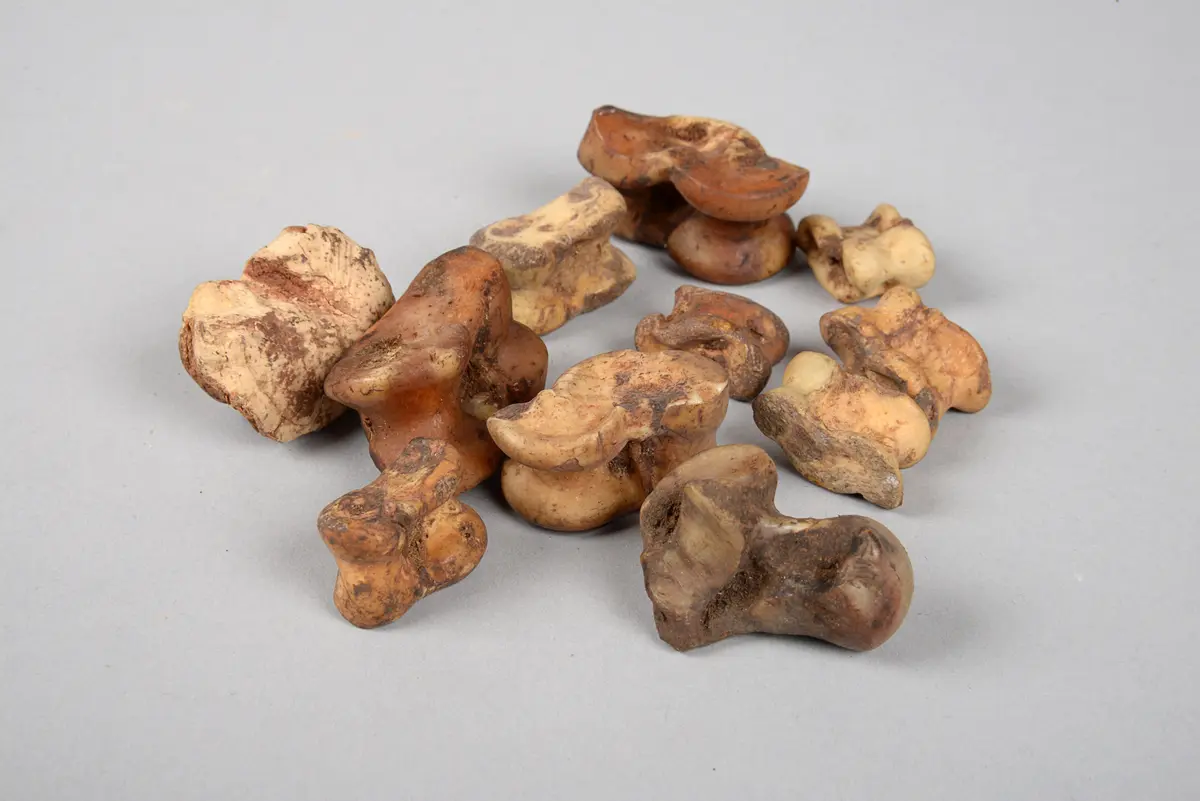 Amulettknochen