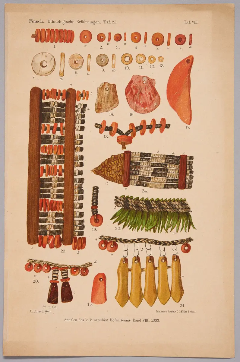 Finsch-Illustration Nr. 4 (Druckgrafik)