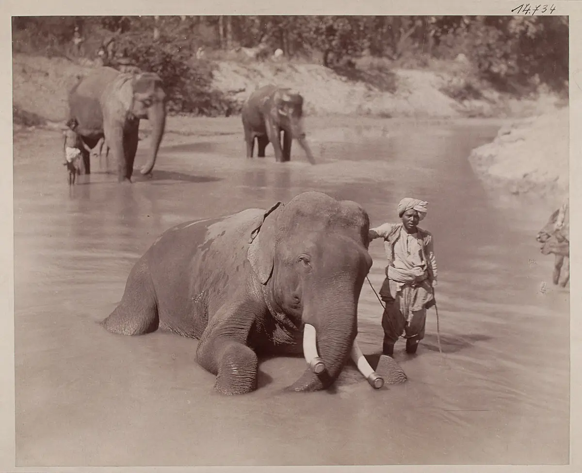 Nepal,
