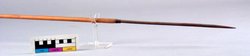 Hunting arrow