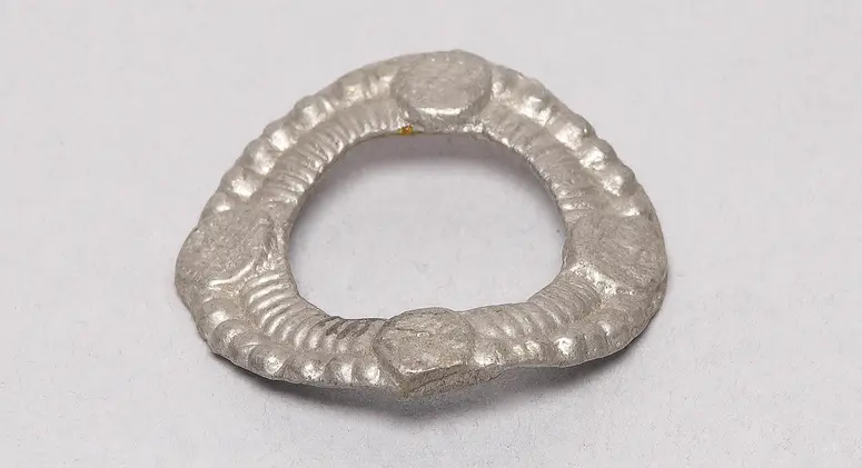 Zehenring