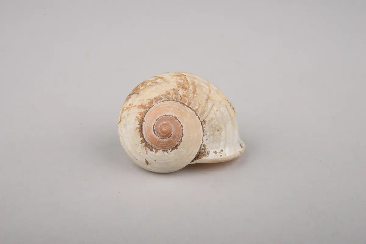 Amulett