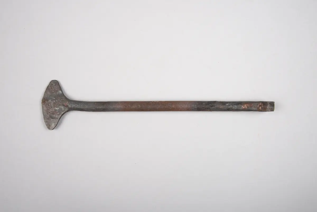 Riegel