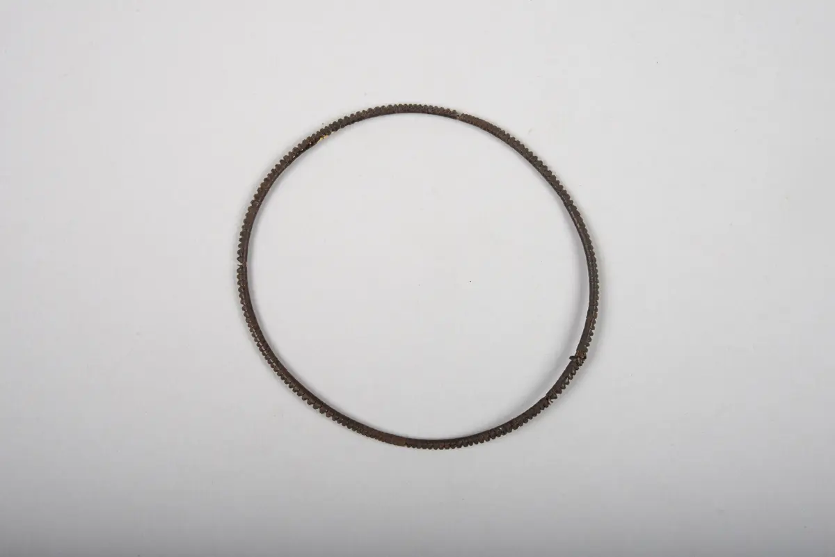 Bracelet or Ankle Bracelet