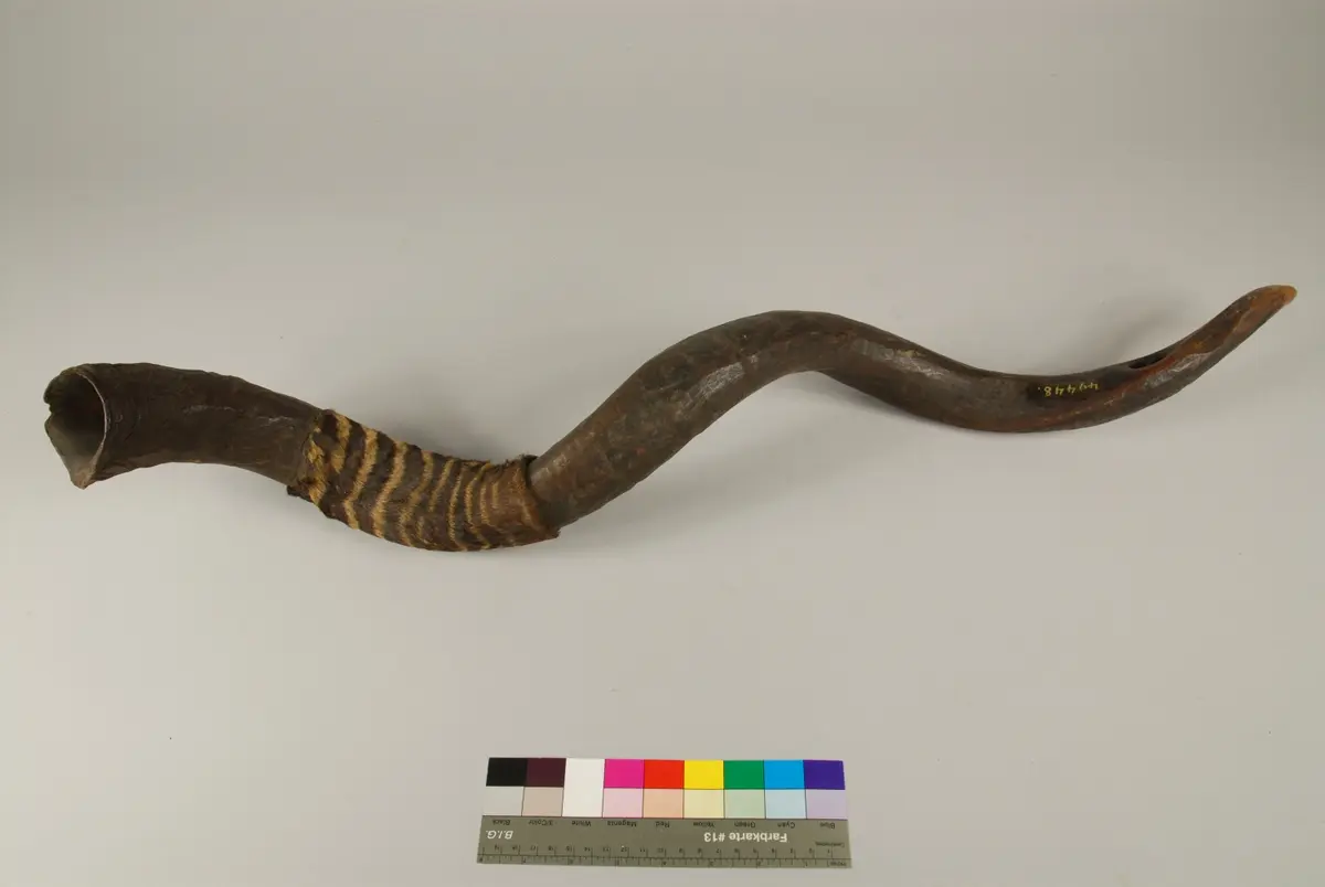Signalhorn