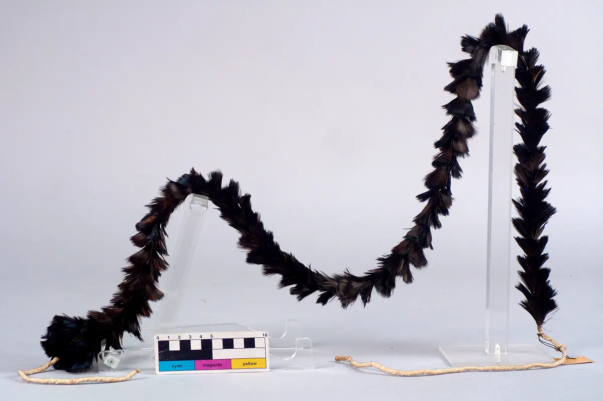 Arm ornament