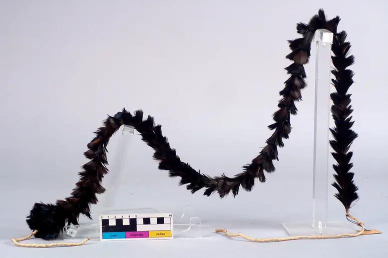 Arm ornament