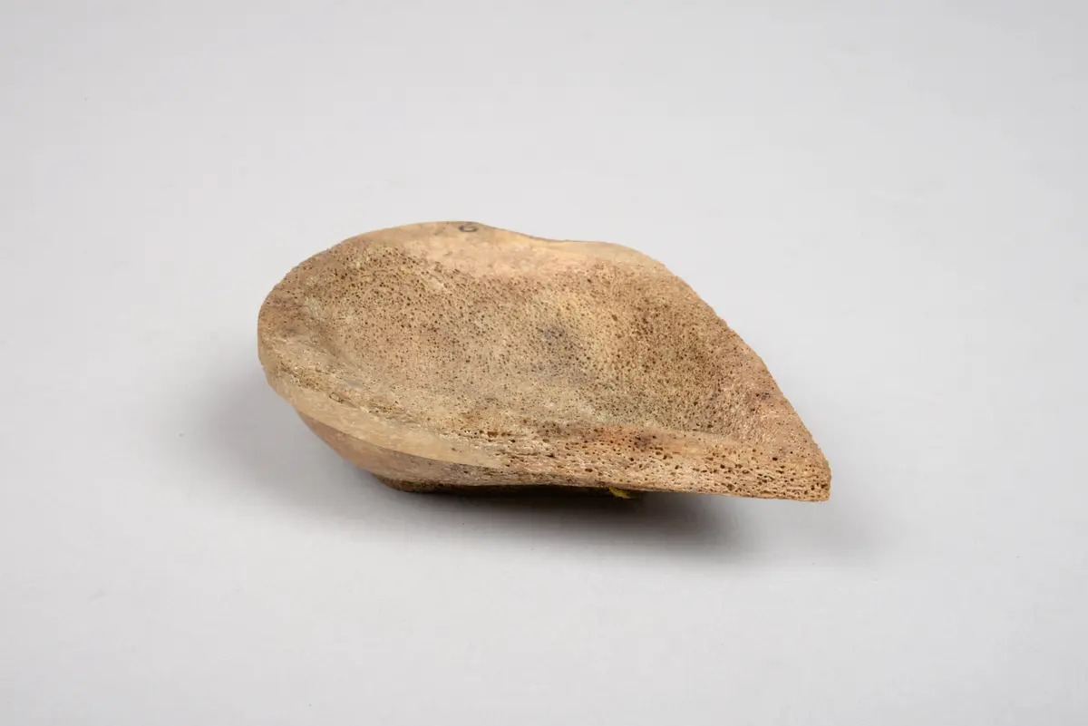 Bowl