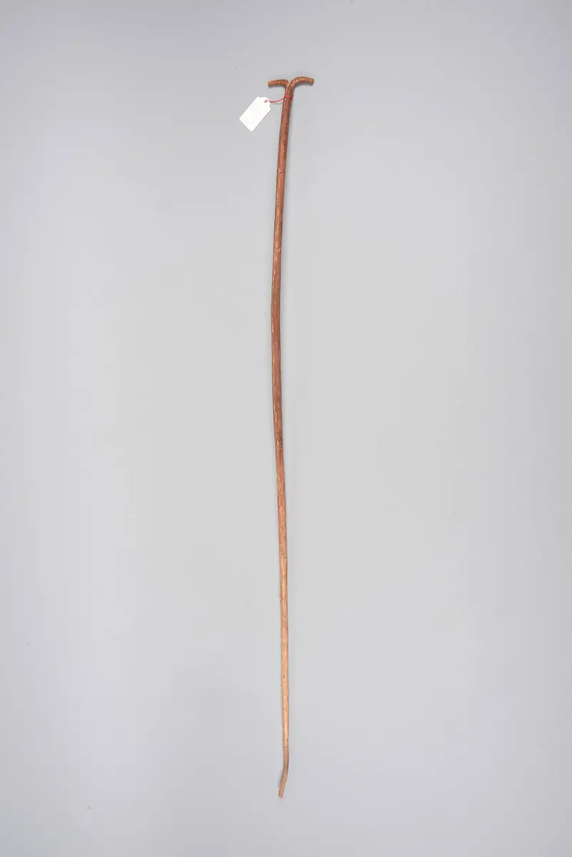 Ledergerte