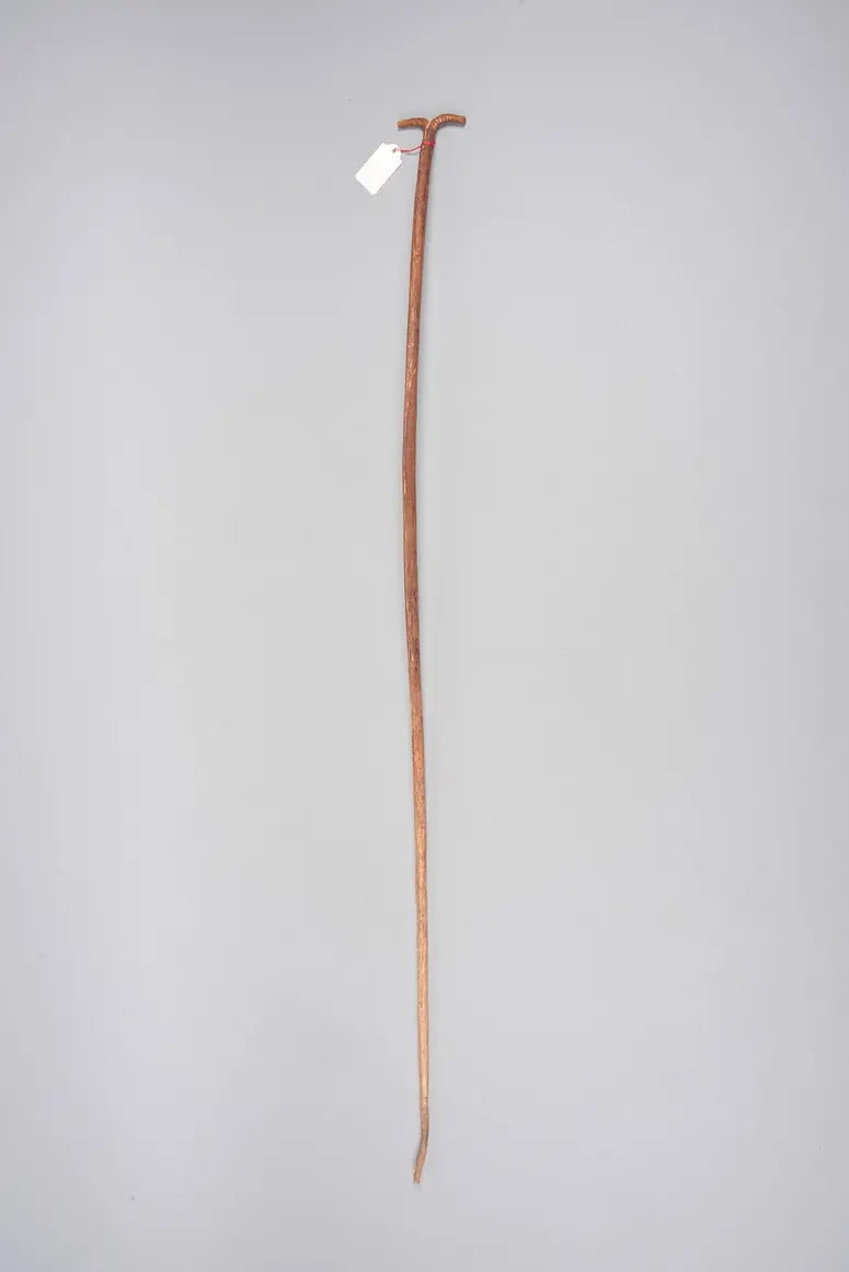 Ledergerte