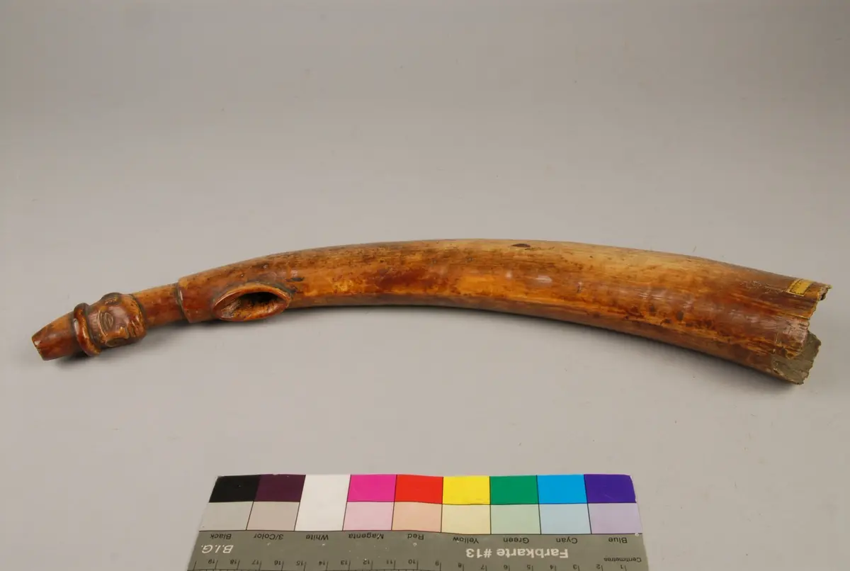 Horn