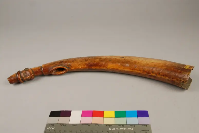 Horn