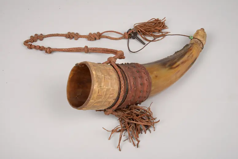Instrument: Horn