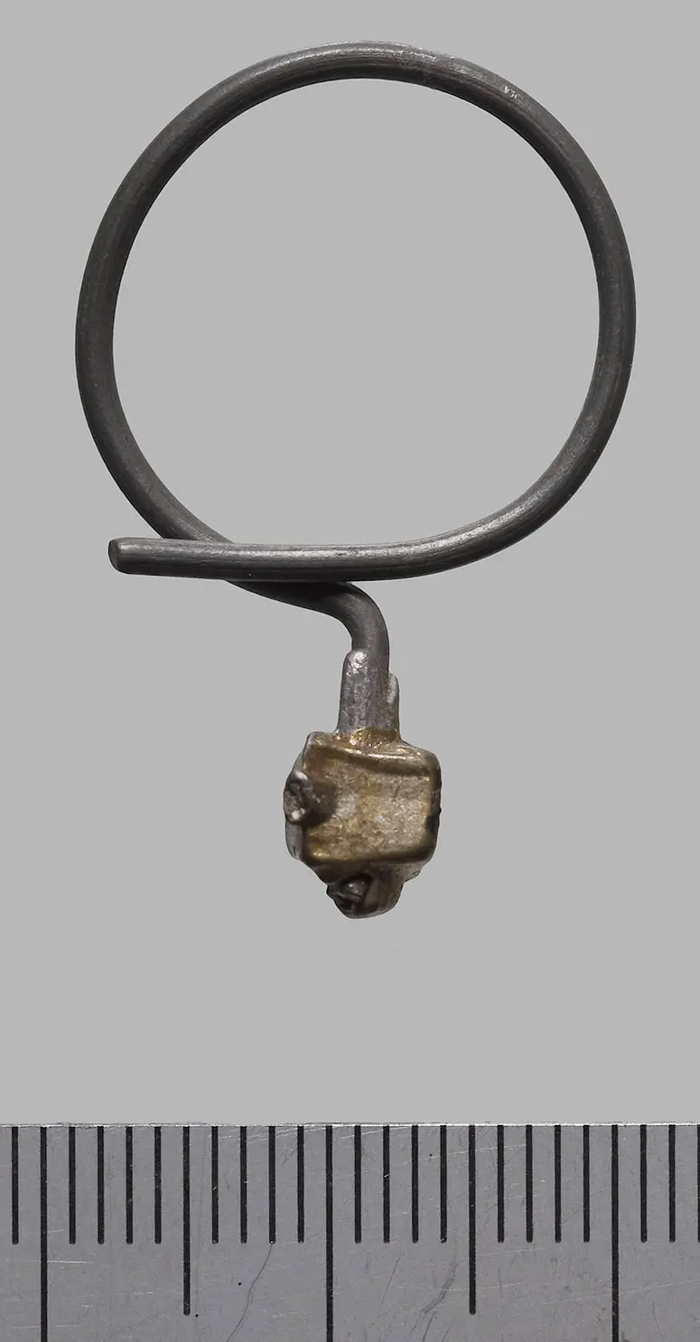Ohrring