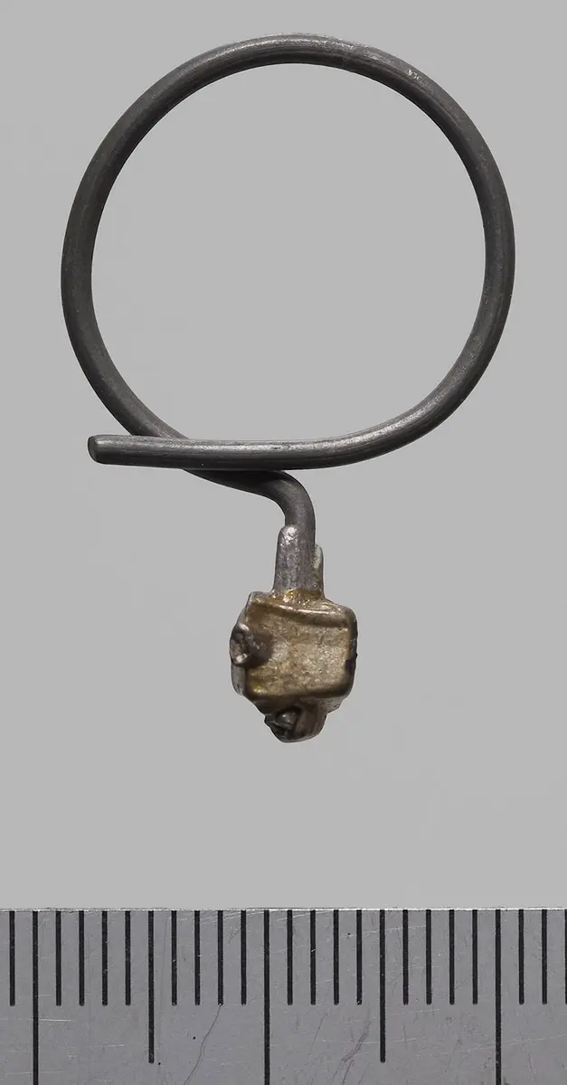 Ohrring