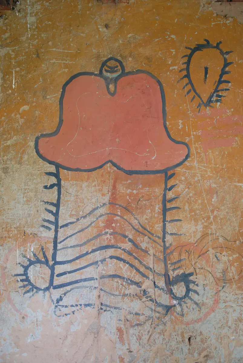 Phallus