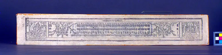 Text