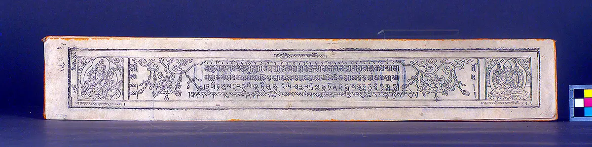 Text