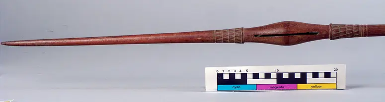 Rattle spear
