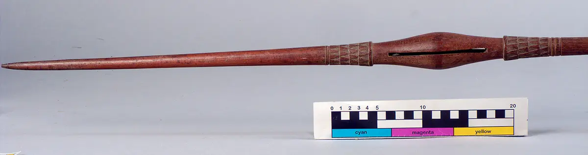 Rattle spear