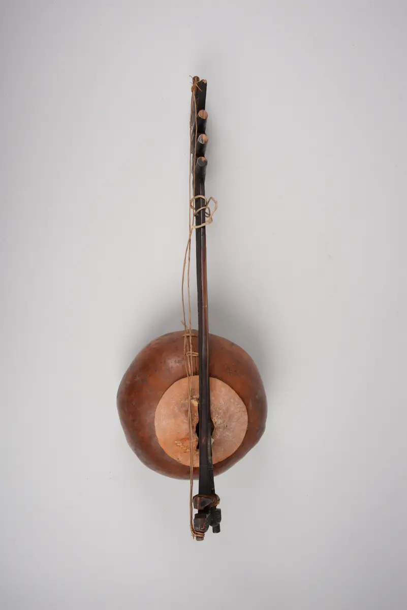 Saiteninstrument