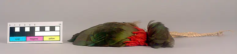 Federschmuck